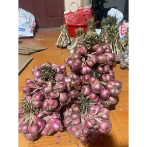 1kg Hành ta khô, hành bắc khô loại 1 đã chọn lọc loại to ăn thơm nồng chuẩn nhà trồng