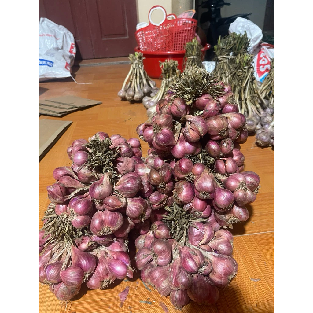 1kg Hành ta khô, hành bắc khô loại 1 đã chọn lọc loại to ăn thơm nồng chuẩn nhà trồng