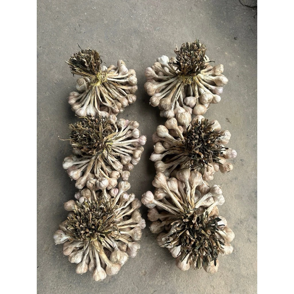 1 Kg Tỏi ta khô, tỏi bắc khô, tỏi Bắc Giang loại 1 đã chọn lọc tỏi loại to chuyên để làm giống ăn cay nồng và thơm
